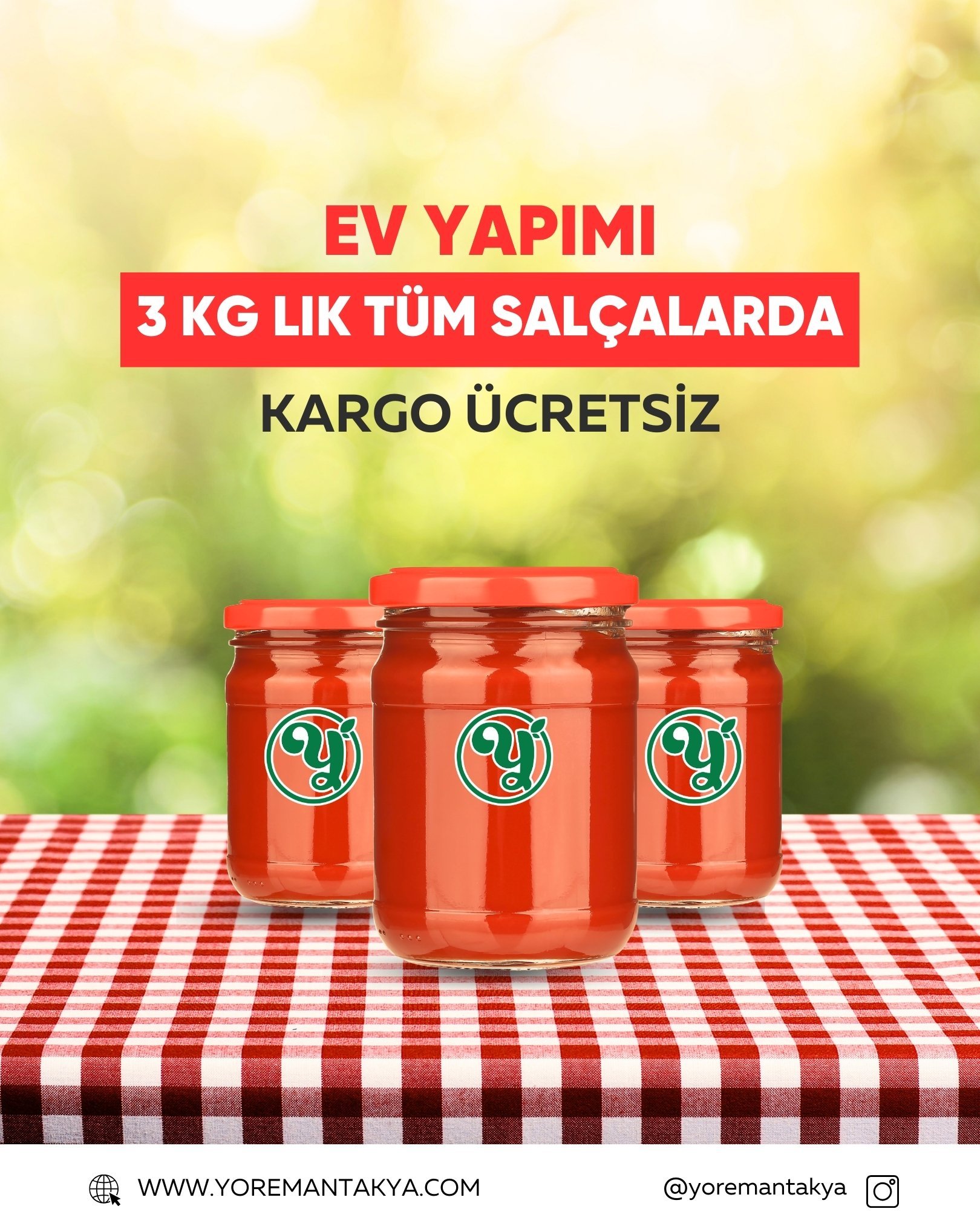 EV YAPIMI SALÇA