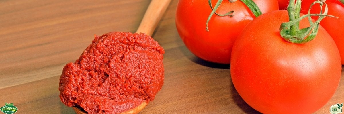 Gün Kurusu Domates Salçası