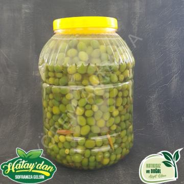 Halhalı Zeytini  3 Kg.