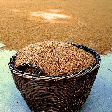 Tam Buğday Unu 1 Kg.