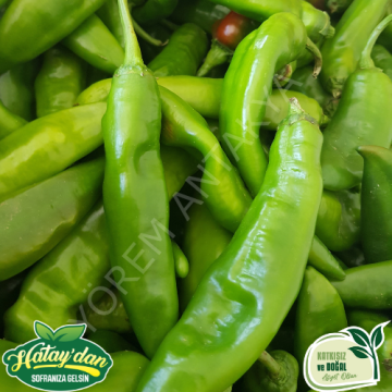 Samandağ Biberi 1 Kg