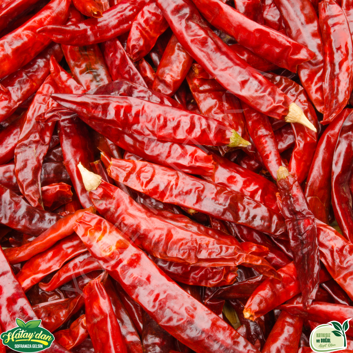 Acı Atom Biber 1 Kg